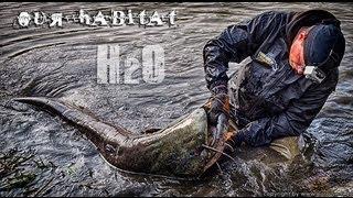 Рыбалка на сома ранней весной. Трофейный сом