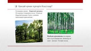 3 класс     Жаратылыстану     Тақырыбы: Табиғи бірлестіктің қандай түрлері болады?