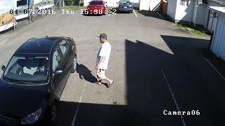 Man steals car with dog inside, owner offers reward