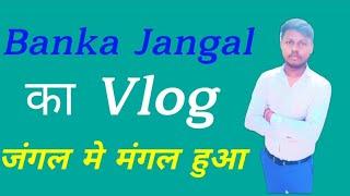 Banka jangal me mangal huwa video last tak dekhiye #Rajavlog25