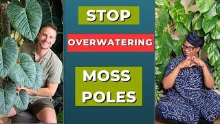 STOP overwatering moss pole plants