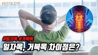 [바디올 한의원] 일자목, 거북목 차이점은?│일자목