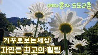 50대 1인가구브이로그/거꾸로보는세상/자연은 최고의힐링/5도2촌