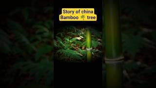 story of china bamboo tree #telugu #mindset #inspirational #bamboo