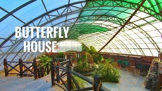 Butterfly House - Jallo Park Lahore - Expedition Pakistan