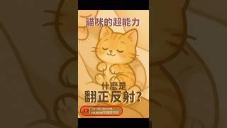 貓咪的超能力 什麼是翻正反射! #貓咪的超能力 #翻正反射 #貓咪冷知識 #貓咪影片 #動物反射 #可愛貓咪 #貓奴日常 #寵物知識 #短影音 #YouTubeShorts #1分鐘 #故事 #小知識