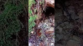 Escape to Nature: Simple Country Adventures #mountainhike2020 #simple