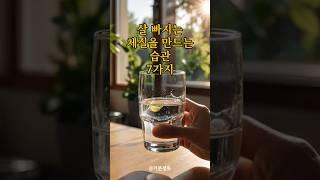 살 빠지는 체질을 만드는 습관 7가지｜긍정확언｜아침명상｜긍정사고｜인생조언