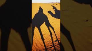 The largest hot desert in the world #shorts