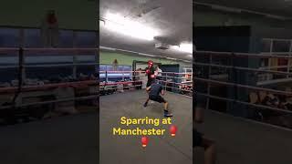 sparring at Manchester  