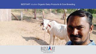 What does it take to start a business producing Dairy Products?