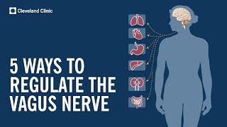 5 Ways to Stimulate and Regulate Your Vagus Nerve