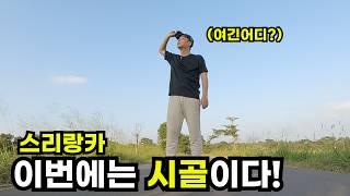스리랑카 도시 탈출, 시골로 떠난 아저씨 여행 브이로그 - 스리랑카 담불라(5)