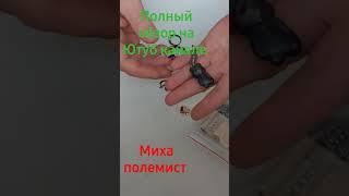 покупки со скупки