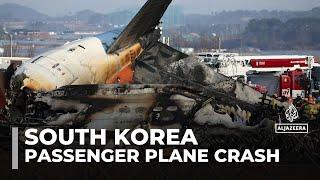 At least 120 killed in South Korea as plane crashes on landing at Muan airport