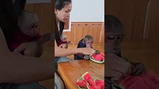 Super funny! Kuku is greedy #su #animals #cute