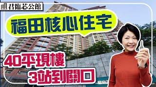 深圳樓盤 | 福田現樓住宅 40-70平方 3站到關口 步行到購物公園 #君臨芯公館 #深圳樓盤