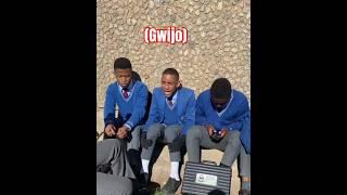 Baleka Mfana (Gwijo) #gwijo2025 #gwijosongs #gwijosongs2025 #amagwijo2025 #amagwijo #gwijo #fyp #gta