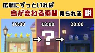 【あつ森】小ネタ検証！広場にずっといれば掲示板の鳥が変わる瞬間見られるんじゃないか説【あつまれ どうぶつの森】@レウンGameTV