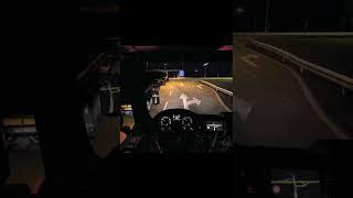 Truckersmp / Noob VS Pro Driver