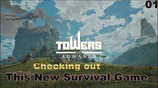 Checking Out This EARLY ACCESS New Survival Game (PC) TOWERS OF AGHASBA