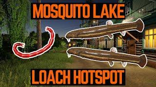 Russian Fishing 4 Active LOACH Spot (Mosquito Lake)