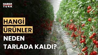 Tarımsal üretimde sorun nerede? Ali Ekber Yıldırım yanıtladı