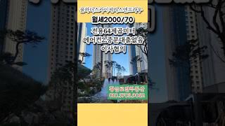 율하더스카이제니스엔프라우전용64월세2000/70#율하부동산#울하아파트#김해율하아파트신축#김해율하부동산#율하스카이 #부동산