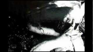 Smell & Quim - Anatomy Shatterme
