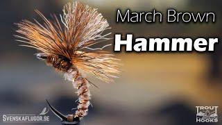 March Brown Hammer | Flugbindning | Svenskaflugor.se