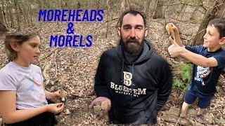 Morehead Homestead and Morels