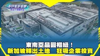 《科技島的奇蹟》東南亞晶圓樞紐！ 新加坡釋出土地　狂吸企業投資