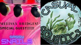 Sassy snails comes to casual aquatics as a special guest