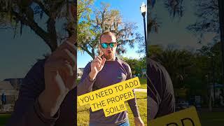 YOU NEED THE RIGHT SOIL TO IMPROVE YOUR LAWN!! #lawncare #staugustinegrass #lawntips #soil #turftips