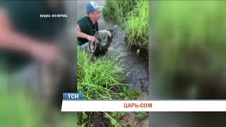 Пермяк выловил гигантского сома