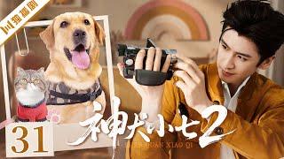 【FULL】EP31 神犬小七第二季Hero dogⅡ | 解锁超甜恋爱副本! #言情 #甜宠 #偶像剧 #kiss #love
