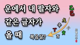 [사주운세] 운에서 내 팔자와 같은 글자가 올 때!