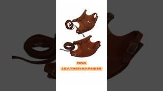 DOG HARNESS | INDIAN LEATHER MANUFACTURER | #leather #dog #harness #fashionstyle #dogaccessories #1k