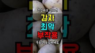 감자 이렇게 먹으면 독약입니다 부작용
