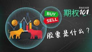 期权的“宿主” - 股票 (期权101) What are Stocks (Options Trading for Beginners)