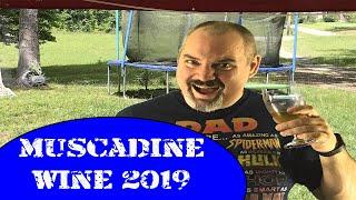How to Make Muscadine Wine 2019