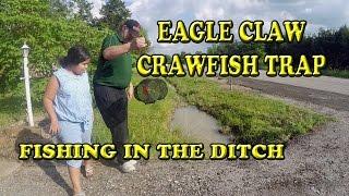 Eagle Claw Crawfish /  Minnow Trap Crawfishing in the Road Ditch