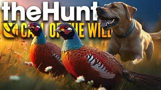 Diese Fasane treiben mich in die Verzweiflung!  | theHunter Call of the Wild