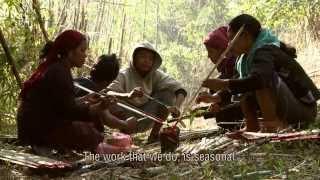 What if we change - documentary on ecosystem restoration