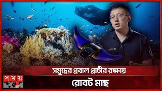 সমুদ্রে ঘুরে বেড়াচ্ছে মাছরূপী রোবট | Reef Saving Robot | China Innovation | Sea Fish | Somoy TV