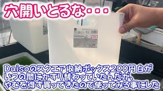 【めだか】Ｄａｉｓｏのスクエア収納ボックス使ってみた。水カビ病発症したので治療を始めます。Ｂ型おやじ