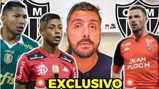 EXCLUSIVO NICOLA TRAZ ATUALIZAÇÕES IMPORTANTES SOBRE O ATLÉTICO MG! NOTÍCIAS EXCLUSIVAS DO GALO