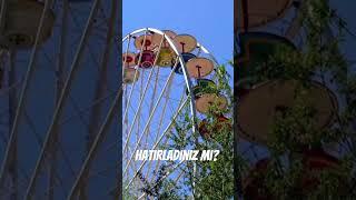 HATIRLADINIZ MI?  #new #pets #wedding #comedy
