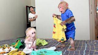 Super Funny! Bibi takes his clothes for the baby monkey to wear!