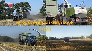 Koszenie kukurydzy 2020New Holland,John Deere, Claas|Damian 489